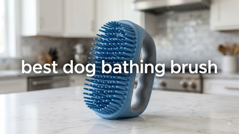 How to Choose the Best Dog Bathing Brush