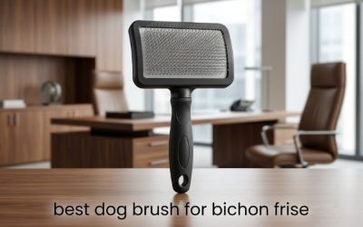 Best Dog Brush for Bichon Frise: Six Curly-Coat Top Picks