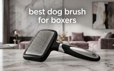 Best Dog Brush for Boxers: Top 6 Picks for Shedding Coats