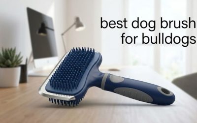 Best Dog Brush for Bulldogs: Six Wrinkle-Safe Top Picks
