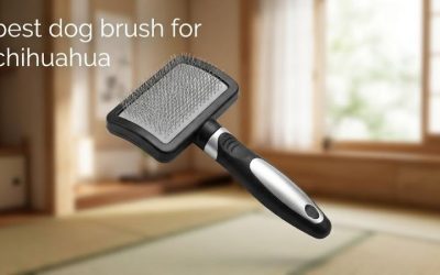 Best Dog Brush for Chihuahua Coats: Six Gentle Top Picks