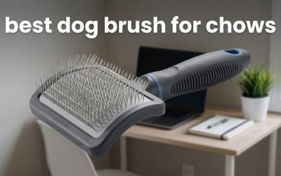 Best Dog Brush for Chows: Top Picks for Thick Double Coats