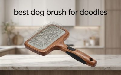 Best Dog Brush for Doodles: 6 Picks That Reach the Skin