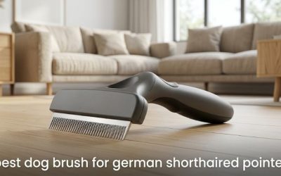 Best Dog Brush for German Shorthaired Pointer: 6 Top Picks