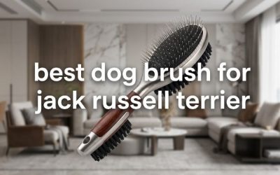 Best Dog Brush for Jack Russell Terrier: 6 Rough Coat Picks
