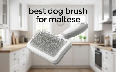 Best Dog Brush for Maltese: Six Gentle Silky Coat Picks