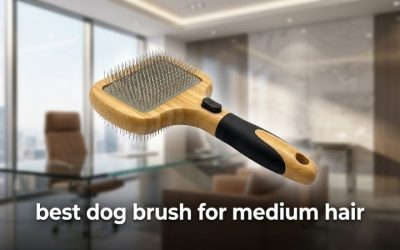 Best Dog Brush for Medium Hair: Top Picks for Every Coat