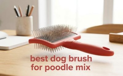 Best Dog Brush for Poodle Mix: 6 Picks for Wavy, Curly Coats