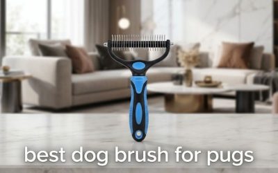 Best Dog Brush for Pugs: 6 Picks That Cut Shedding Fast