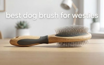 Best Dog Brush for Westies: Top Picks for Harsh Wiry Coats