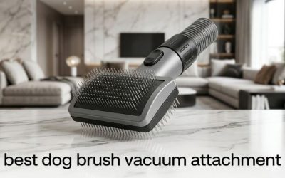 Best Dog Brush Vacuum Attachment: 6 Picks for Less Mess