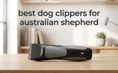 Best Dog Clippers for Australian Shepherd: 6 Picks Rated