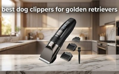 Best Dog Clippers for Golden Retrievers: 6 Picks for Tidying