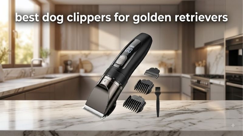 How to Choose the Best Dog Clippers for Golden Retrievers