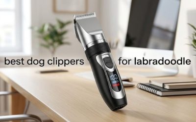Best Dog Clippers for Labradoodle: 6 Picks for Home Trims