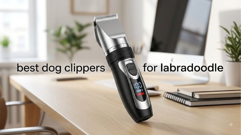 How to Choose the Best Dog Clippers for Labradoodle Maintenance