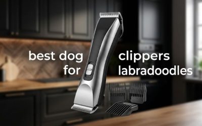 Best Dog Clippers for Labradoodles: 6 Picks for Home Clips