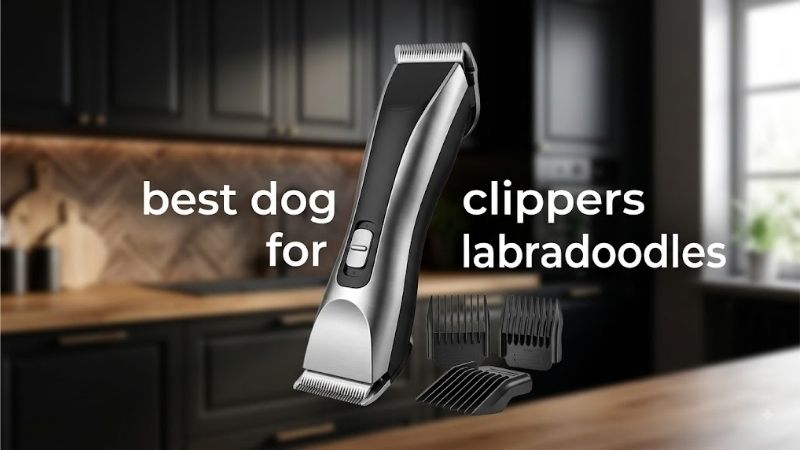 How to Choose the Best Dog Clippers for Labradoodles