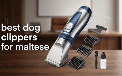 Best Dog Clippers for Maltese: Top Picks for Silky Coats