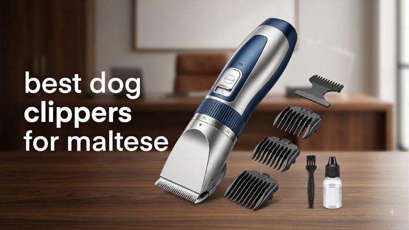 How to Choose the Best Dog Clippers for Maltese