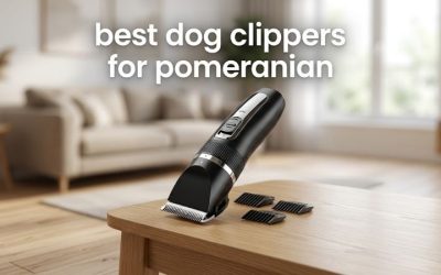 Best Dog Clippers for Pomeranian: Top Picks to Tidy Fluff