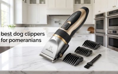 Best Dog Clippers for Pomeranians: Top Gentle Tidy Picks