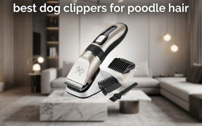 Best Dog Clippers for Poodle Hair: 6 Picks for Curly Coats