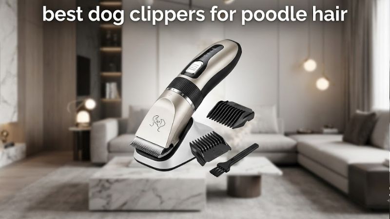 How to Choose the Best Dog Clippers for Poodle Hair