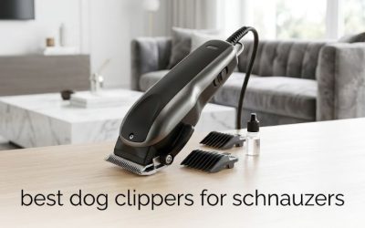 Best Dog Clippers for Schnauzers: Top At-Home Picks 2026