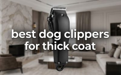 Best Dog Clippers for Thick Coat: 6 High-Torque Picks Rated
