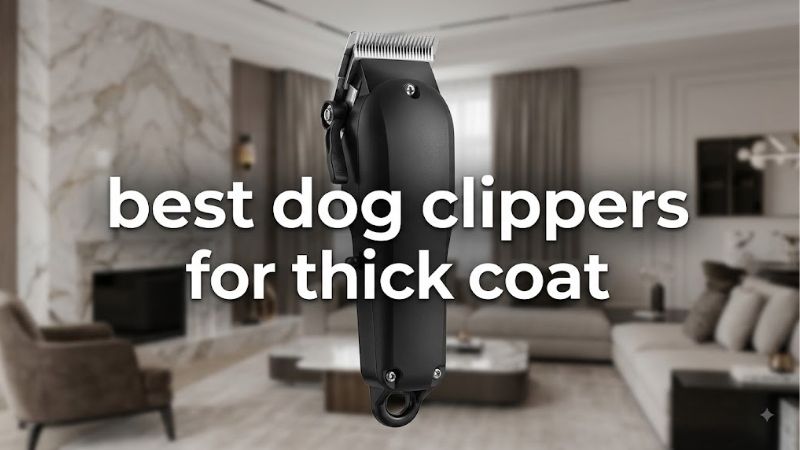 How to Choose the Best Dog Clippers for Thick Coat Work