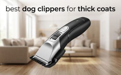 Best Dog Clippers for Thick Coats: 6 Picks for Double Coats