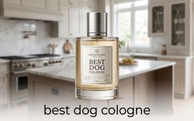 Best Dog Cologne: 6 Gentle Sprays That Keep a Coat Fresh