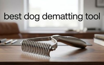 Best Dog Dematting Tool Picks: 6 That Work Without Pain