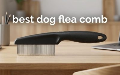 Best Dog Flea Comb: 5 Metal Combs Tested for Durability