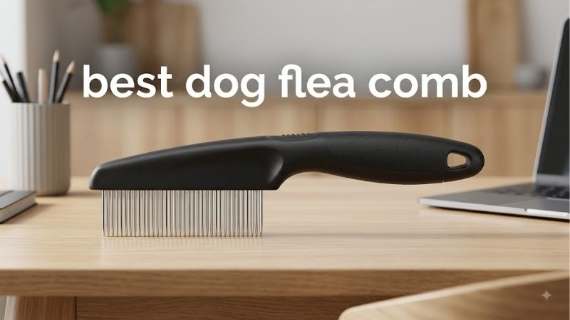 How to Choose the Best Dog Flea Comb by Build Quality
