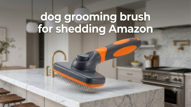 How to Choose the Best Dog Grooming Brush for Shedding Amazon Sells