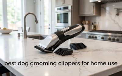 Best Dog Grooming Clippers for Home Use: 6 Simple Picks