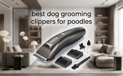 Best Dog Grooming Clippers for Poodles: Six Tested Picks