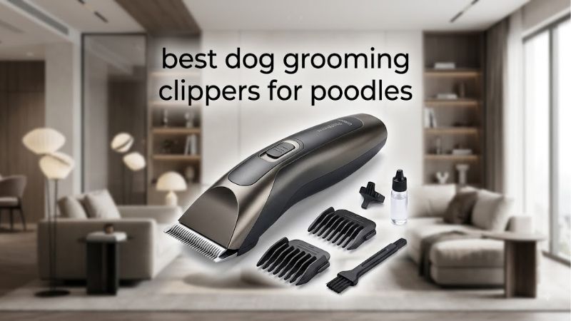 How to Choose the Best Dog Grooming Clippers for Poodles