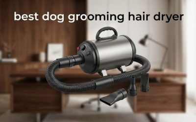 Best Dog Grooming Hair Dryer: Top Force Dryer Picks 2026