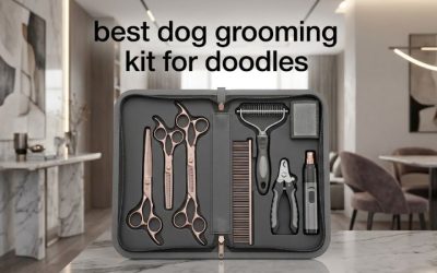 Best Dog Grooming Kit for Doodles: Top All-in-One Picks