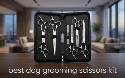 Best Dog Grooming Scissors Kit: 6 Sets That Are Worth Buying