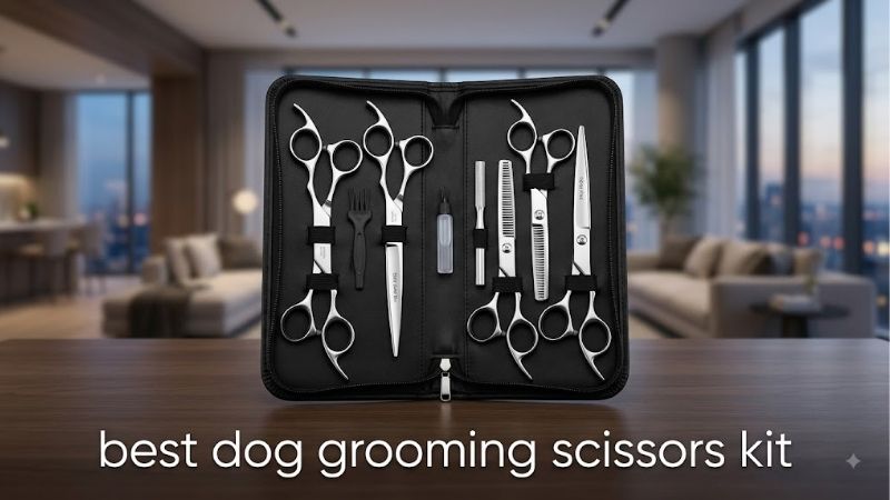 How to Choose the Best Dog Grooming Scissors Kit