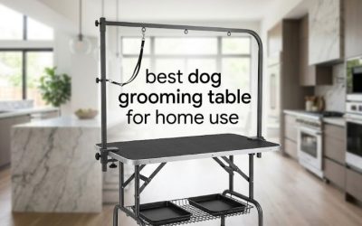 Best Dog Grooming Table for Home Use: 6 Space-Saving Picks
