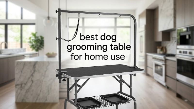 How to Choose the Best Dog Grooming Table for Home Use