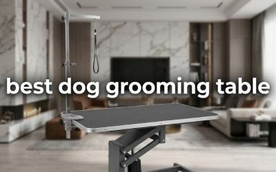 Best Dog Grooming Table: 6 Stable Picks and Safety Notes