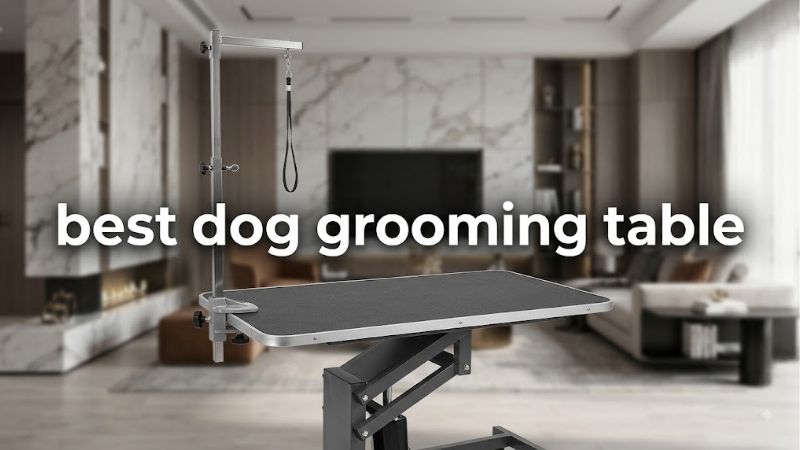 How to Choose the Best Dog Grooming Table for Safety