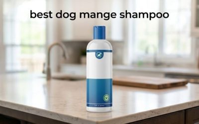 Best Dog Mange Shampoo: 6 Supportive Picks for Skin Care