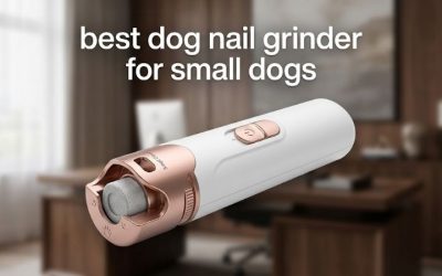 Best Dog Nail Grinder for Small Dogs: Top Quiet Picks 2026